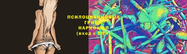 гашик Бронницы